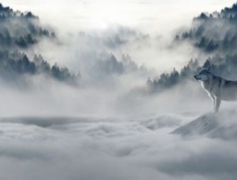 韶山旅游不可错过的美食汇总(去韶山有哪些特产美食可以吃)