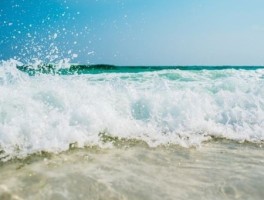 扬州旅游景点攻略下雨天开放吗现在，扬州旅游必去景点