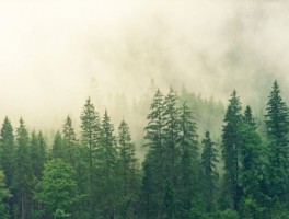 介绍一个旅游景点桂林，桂林附近旅游景点推荐