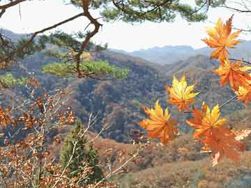 去五台山该怎么玩，超全五台山旅游攻略，别错过！
