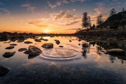 澳洲旅游美食分享会(澳大利亚的美食) 澳洲旅游美食分享会(澳大利亚的美食)