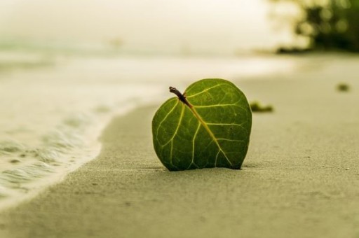 东京到大阪怎么走,东京到大阪怎么走最省钱 东京到大阪怎么走,东京到大阪怎么走最省钱