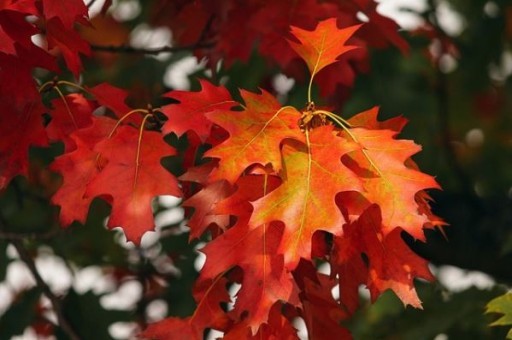 旅游穿衣搭配,旅游穿衣搭配图片 旅游穿衣搭配,旅游穿衣搭配图片