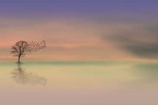 从广州去澳门怎么走,从广州去澳门坐什么车 从广州去澳门怎么走,从广州去澳门坐什么车