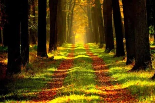 山西的旅游景点,山西的旅游景点有哪些 山西的旅游景点,山西的旅游景点有哪些