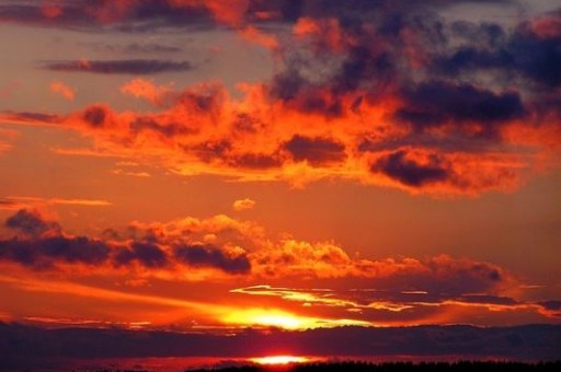 红山动物园怎么走,南京南站到红山动物园怎么走 红山动物园怎么走,南京南站到红山动物园怎么走