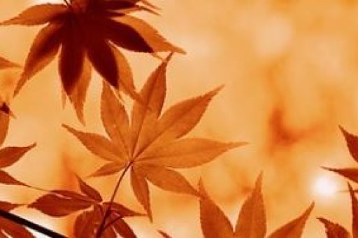 西安南到西安北怎么走,西安南到西安北怎么走最方便 西安南到西安北怎么走,西安南到西安北怎么走最方便