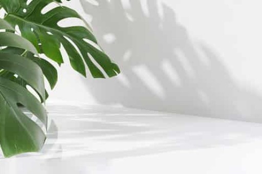 到北陵公园怎么走,到北陵公园怎么走最方便 到北陵公园怎么走,到北陵公园怎么走最方便