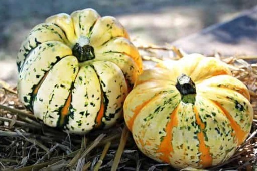 梧州旅游,梧州旅游攻略必玩的景点 梧州旅游,梧州旅游攻略必玩的景点