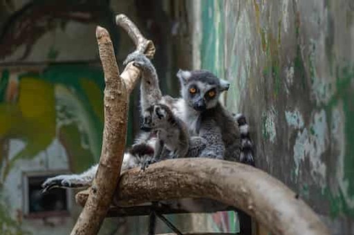 资中公交车路线,资中公交车路线查询3路 资中公交车路线,资中公交车路线查询3路