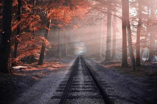 三亚湾到亚龙湾怎么走,三亚湾到亚龙湾在什么地方坐公交车 三亚湾到亚龙湾怎么走,三亚湾到亚龙湾在什么地方坐公交车