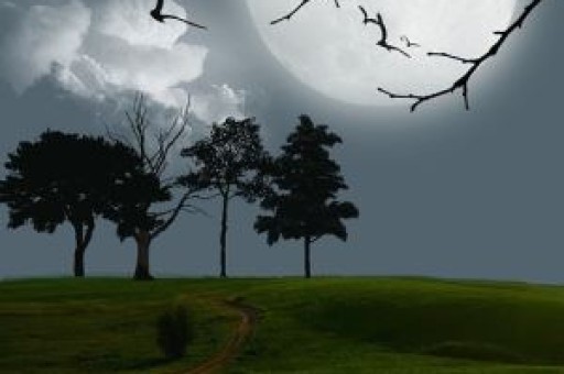 旅顺西湖嘴怎么走,旅顺神龙岛西湖嘴景区 旅顺西湖嘴怎么走,旅顺神龙岛西湖嘴景区