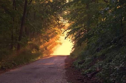 云南旅游必备,云南旅游必备药品 云南旅游必备,云南旅游必备药品