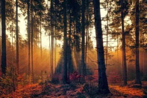 长治市潞州剧院怎么走,潞州剧院百度地图 长治市潞州剧院怎么走,潞州剧院百度地图