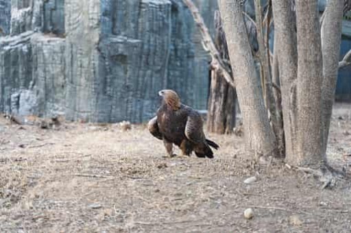 临河公交路线,临河公交路线查询 临河公交路线,临河公交路线查询