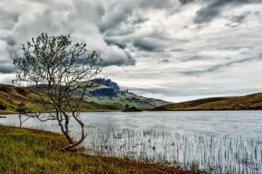 后岸怎么走,后岸附近景点 后岸怎么走,后岸附近景点