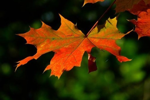 徐州91路公交车路线,徐州91路公交车路线图 徐州91路公交车路线,徐州91路公交车路线图