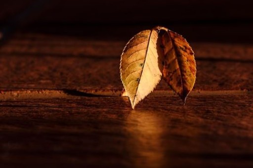 郑州B2公交路线,郑州b2公交路线查询 郑州B2公交路线,郑州b2公交路线查询