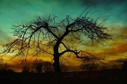 攻略湖南旅游攻略,湖南旅游攻略知乎 攻略湖南旅游攻略,湖南旅游攻略知乎