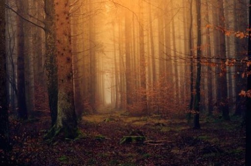 朝天门到洪崖洞怎么走,朝天门轻轨站到洪崖洞路线 朝天门到洪崖洞怎么走,朝天门轻轨站到洪崖洞路线