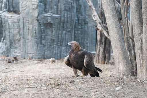 昆大丽旅游,昆大丽旅游线路设计 昆大丽旅游,昆大丽旅游线路设计