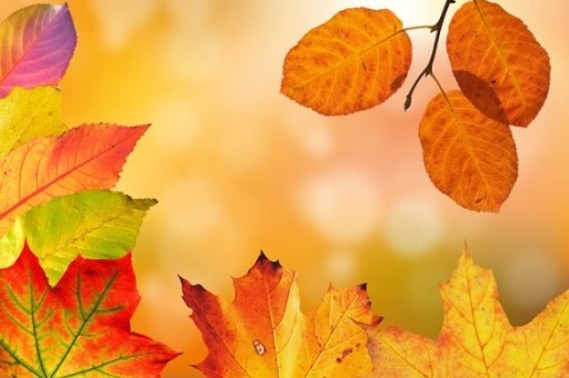 临夏到青海湖怎么走,临夏到青海湖怎么走最快 临夏到青海湖怎么走,临夏到青海湖怎么走最快