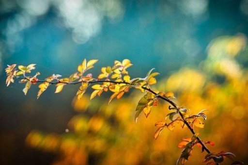 山西省人民医院怎么走,山西省人民医院院内导航 山西省人民医院怎么走,山西省人民医院院内导航