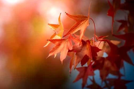 上海站到上海虹桥站怎么走,上海站到上海虹桥站怎么走? 上海站到上海虹桥站怎么走,上海站到上海虹桥站怎么走?